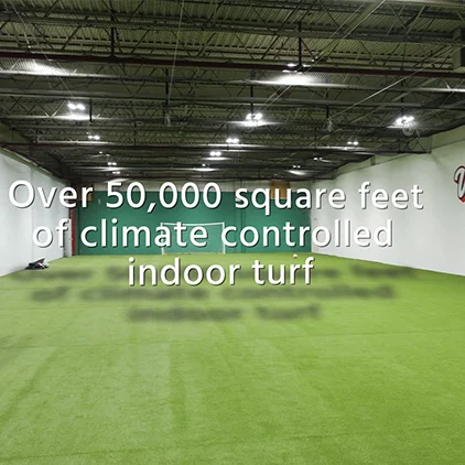 Small Business Video Motion Graphics